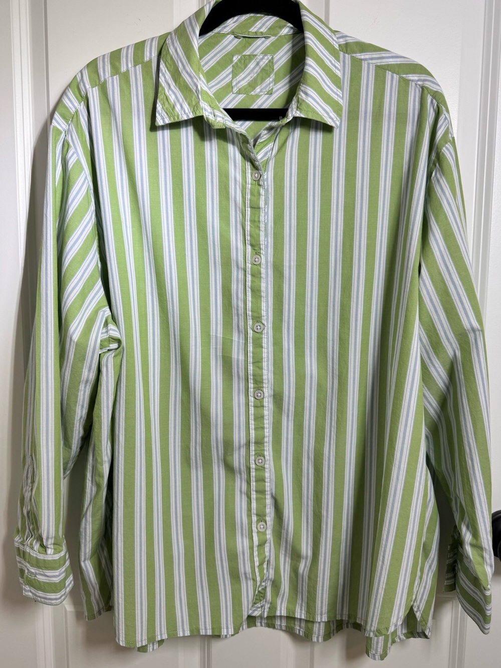 Aerie Green White Blue Striped Button Front Shirt Medium